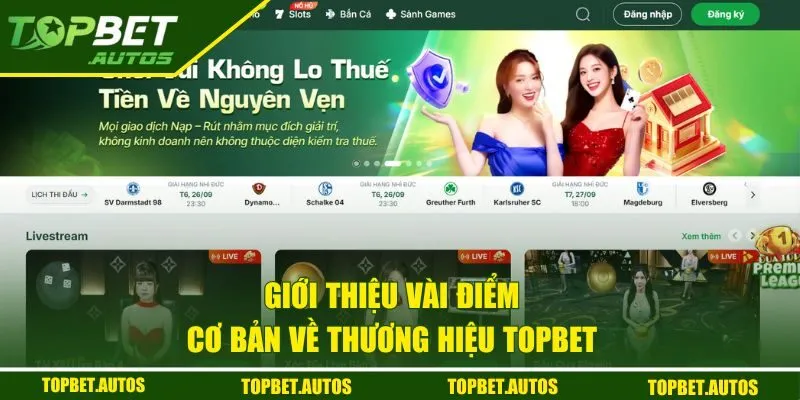 Giới thiệu vài điểm cơ bản về thương hiệu TOPBET